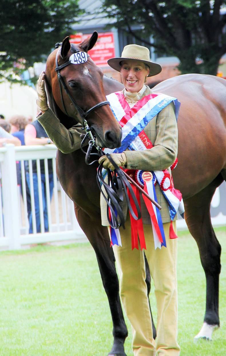 IN BRIEF: Dublin champion Notalot sold