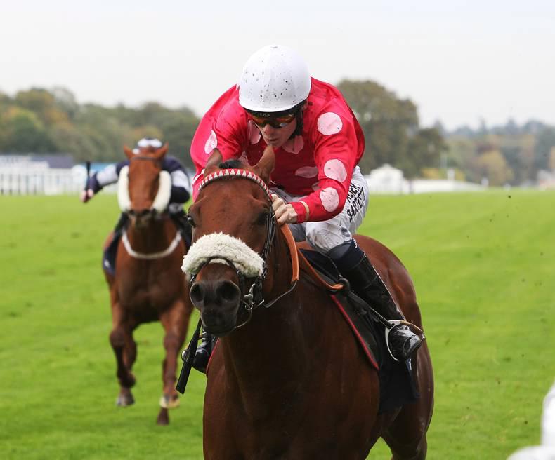 BRITAIN: Maarek back with a bang