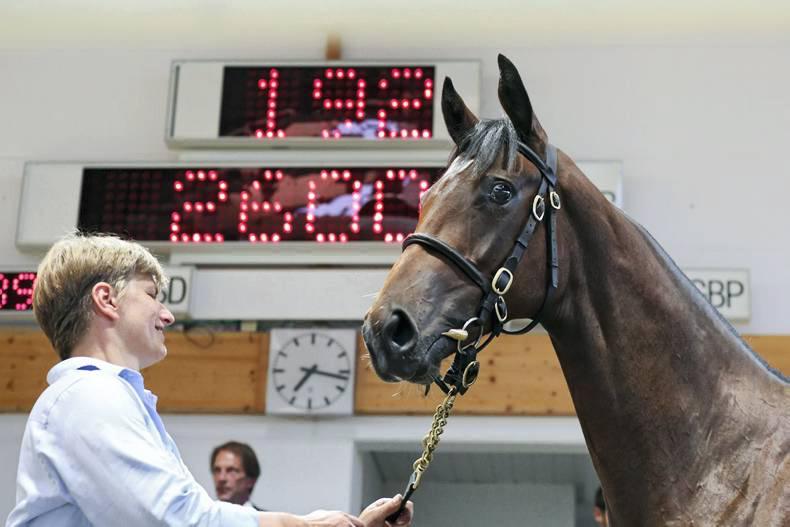 SALES REPORT: Soft market at Germany's premier yearling sale