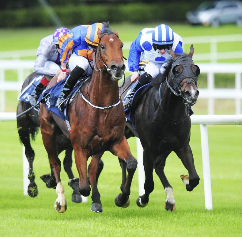 LEOPARDSTOWN SATURDAY: Johannes jumps up the rankings