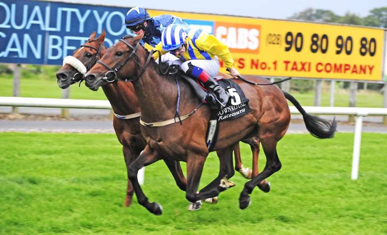 DOWN ROYAL: Deat-heat drama in Cesarewitch