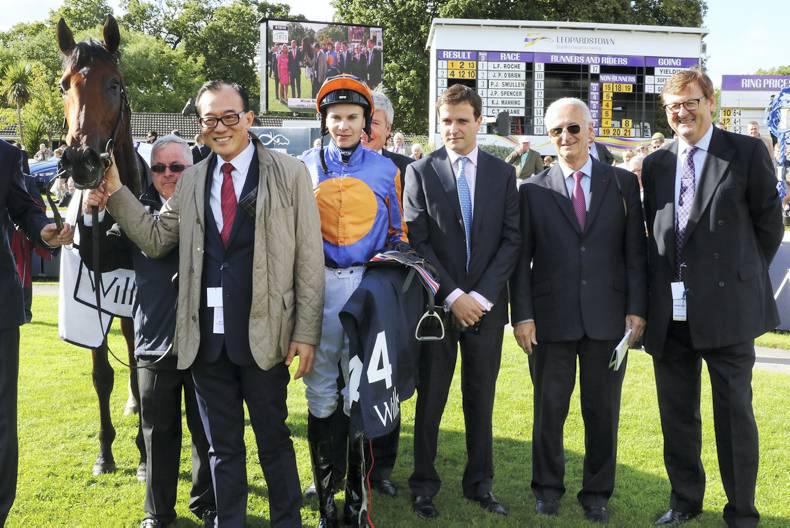 BREEDING INSIGHTS: Vermeer's reputation enhanced