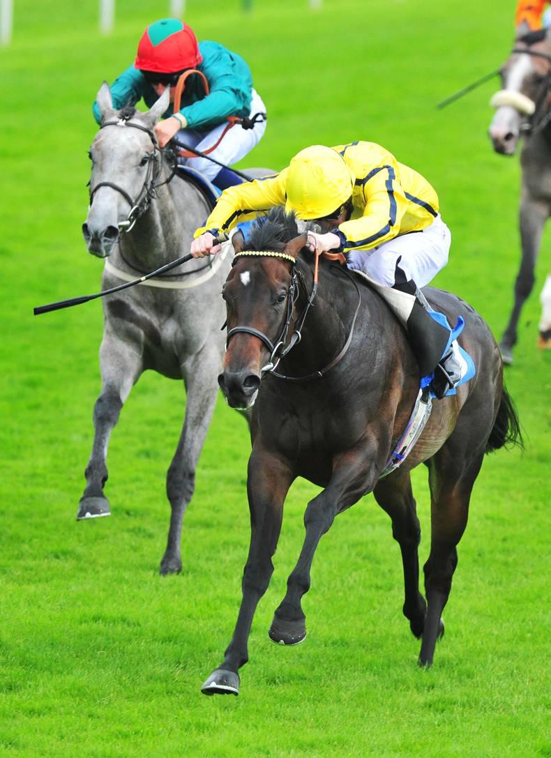 BRITISH PREVIEW: Fall into rhythm with Earth Drummer