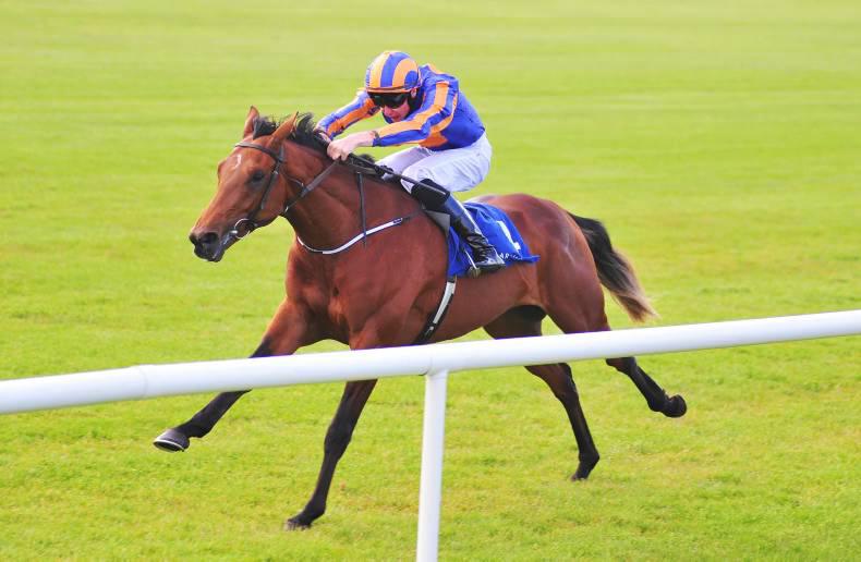 PEDIGREE NOTES: This week's pattern winners 21st - 27th September