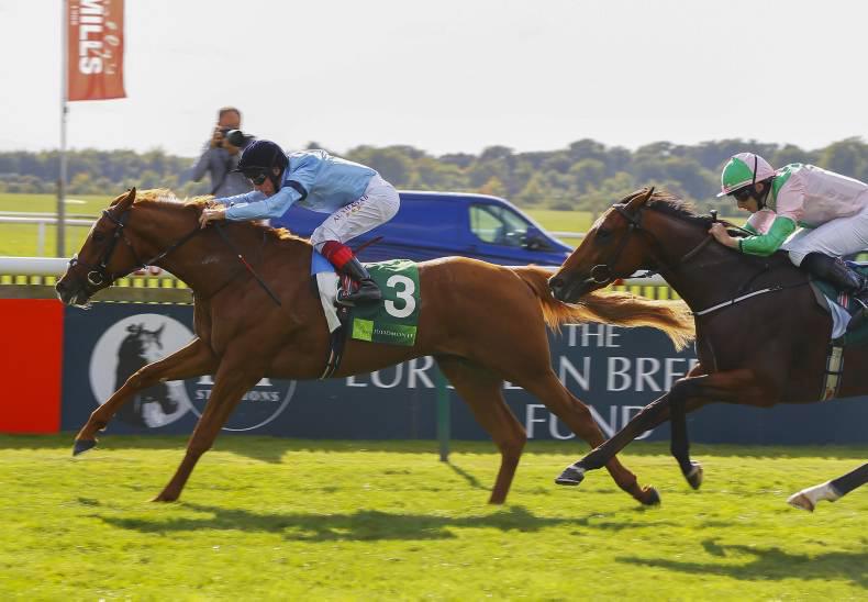 Zoffany building a solid Foundation