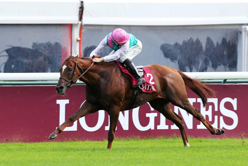 SIMON ROWLANDS: No value in New Bay odds