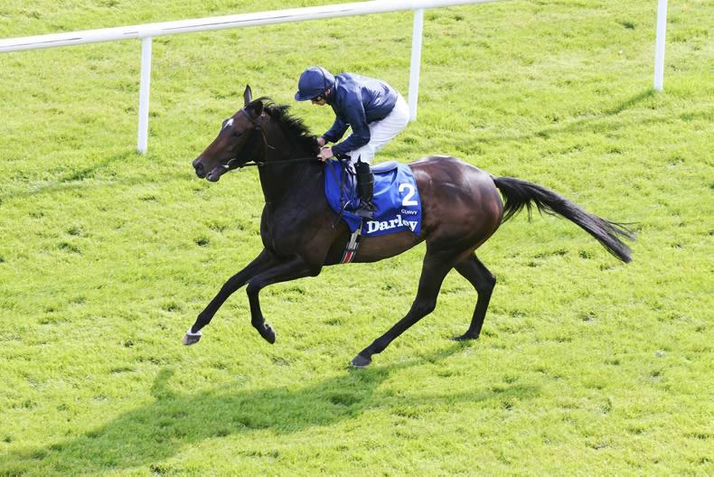 PEDIGREE NOTES: Pattern winners for the week 12th – 18th October