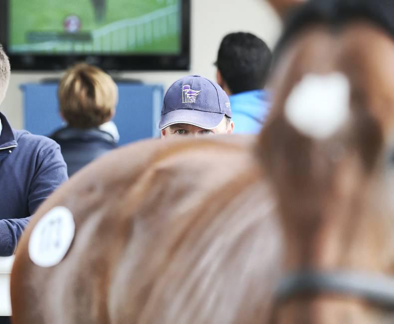 SALES PREVIEW: Potential talent at Goresbridge