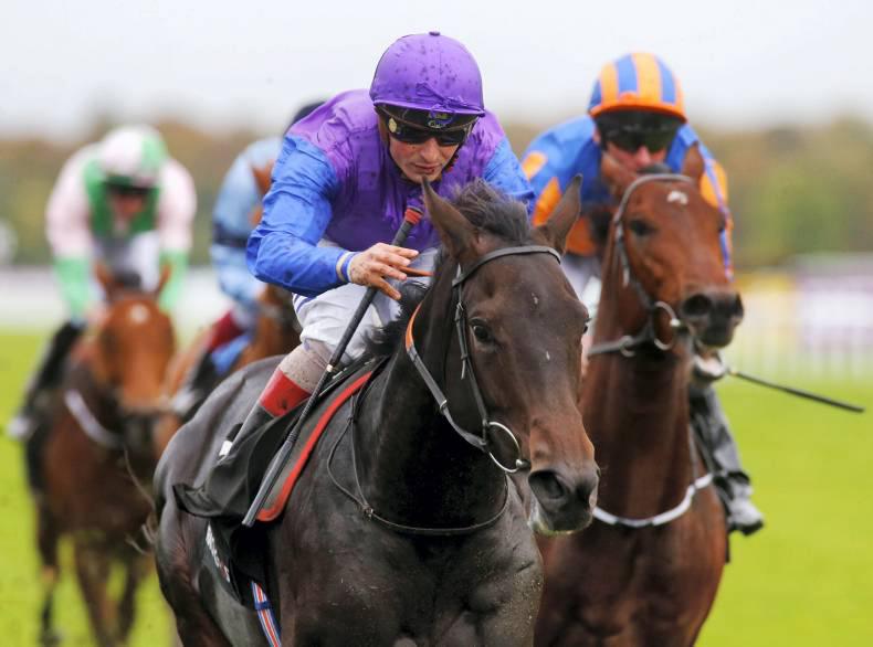 SIMON ROWLANDS: Marcel hits the mark