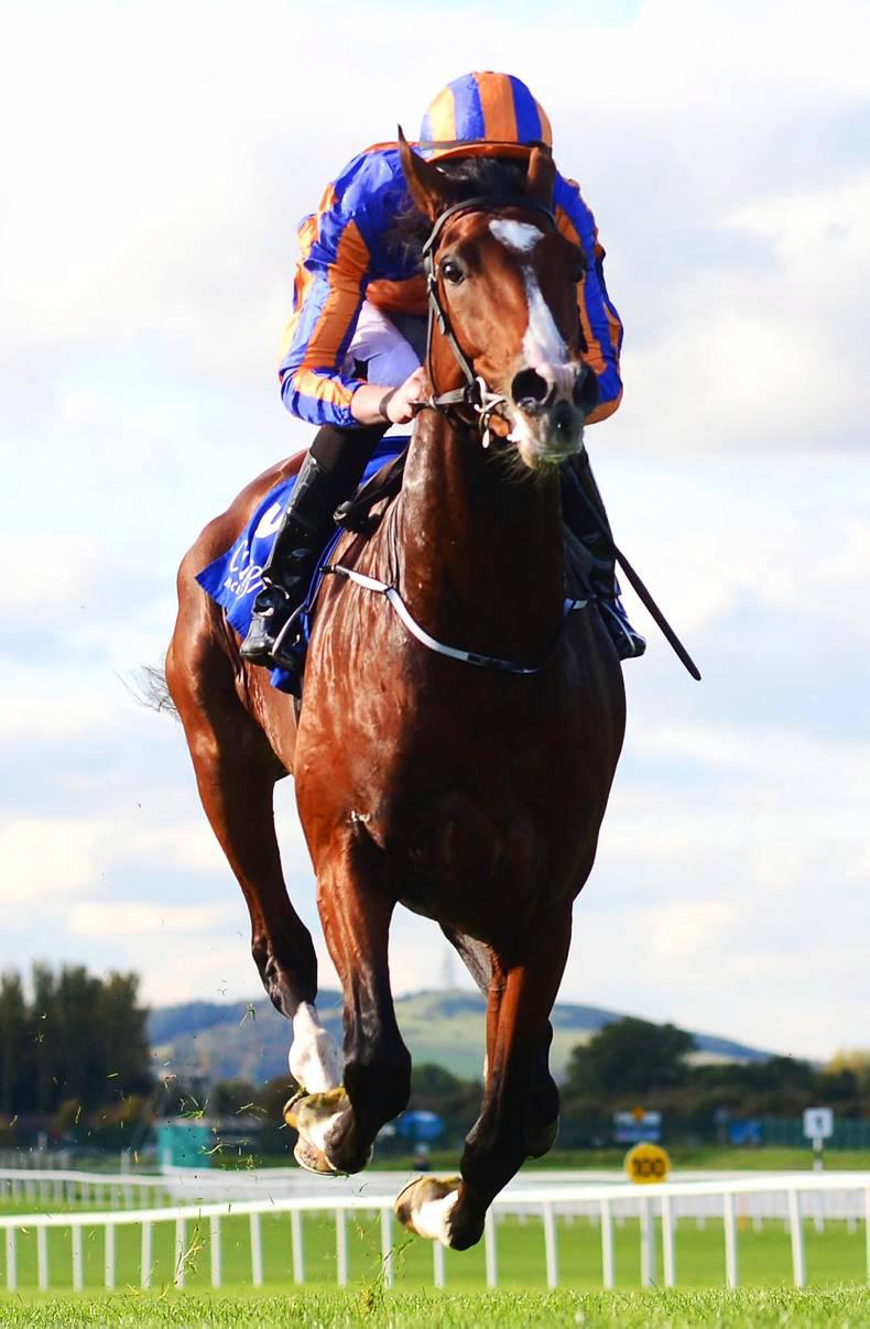 FRENCH PREVIEW: Idaho to enhance reputation