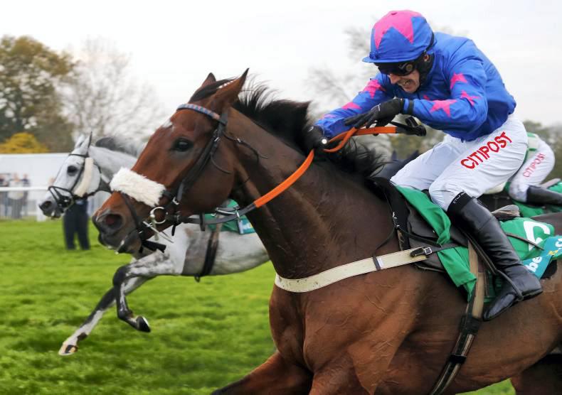 SIMON ROWLANDS: Cue Card and Kilcooley well up to standard