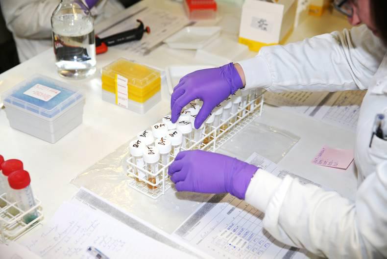 Equine herpes vaccine supply on the way