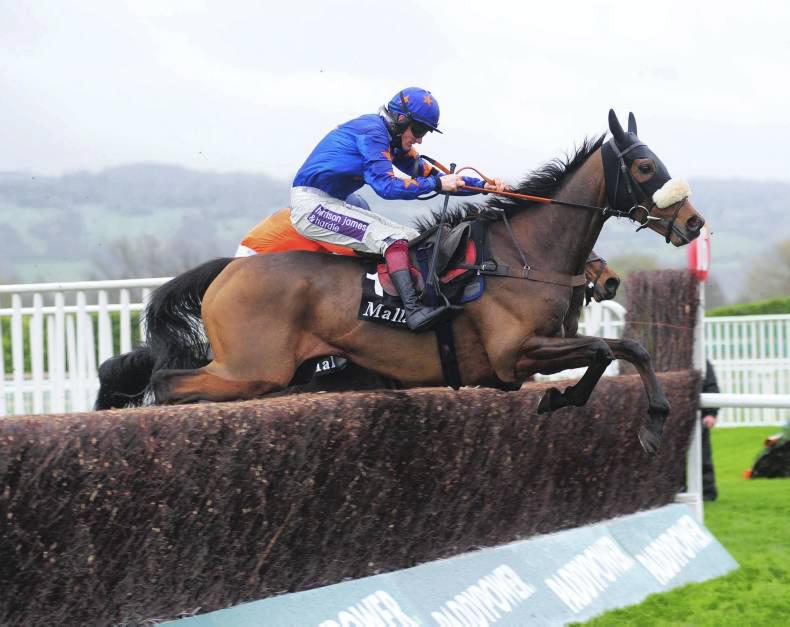 BRITAIN: Wolf on the hunt for hurdle success