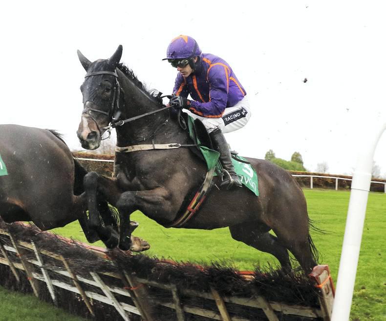 PEDIGREE NOTES: National Hunt graded winners 23rd – 29th November
