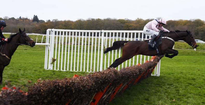 PEDIGREE ANALYSIS: Transvaal represents classic family