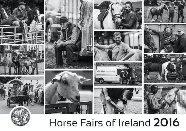PONY TALES:  Get in with a chance to win Horse Fairs calendar