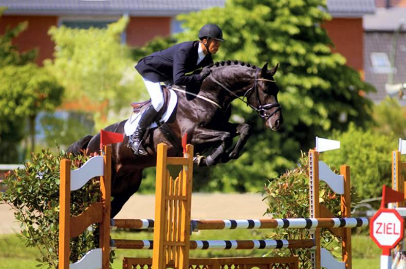 The Stallion Company to open new insemination centre