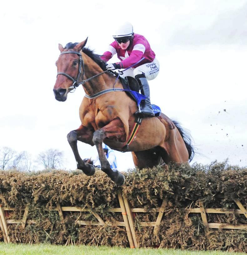 LIMERICK SATURDAY PREVIEW: Outlander in flying form 