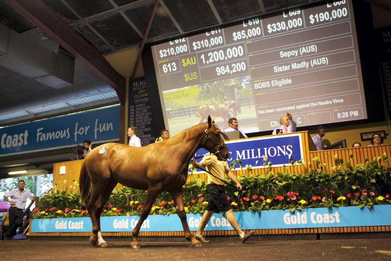 AUSTRALIA: Magic Millions starts southern yearling season