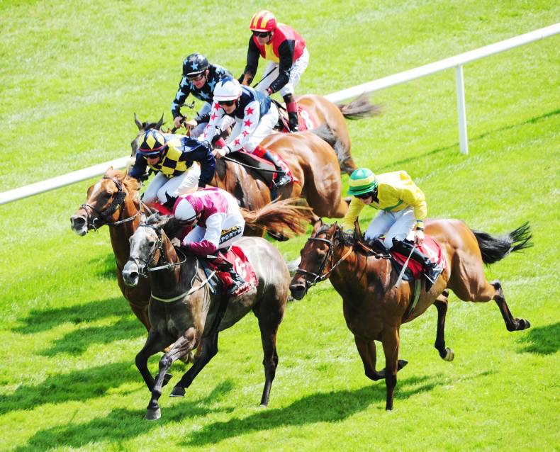 Six great reasons to read The Irish Field this weekend                          