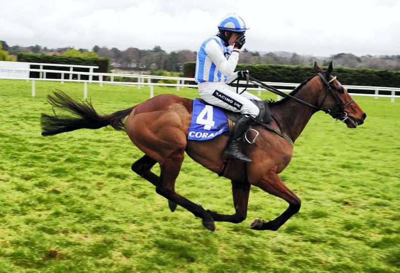 THE WEEKEND REVIEW: Ruby rules with rodeo ride 19 January 2016 Free
