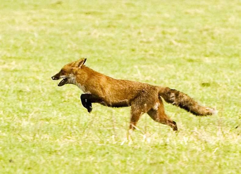 ON POINT: Hunting News and Views