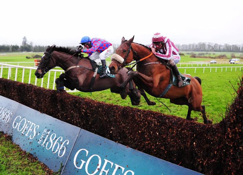 PEDIGREE ANALYSIS: My Murphy has festival and classic connections