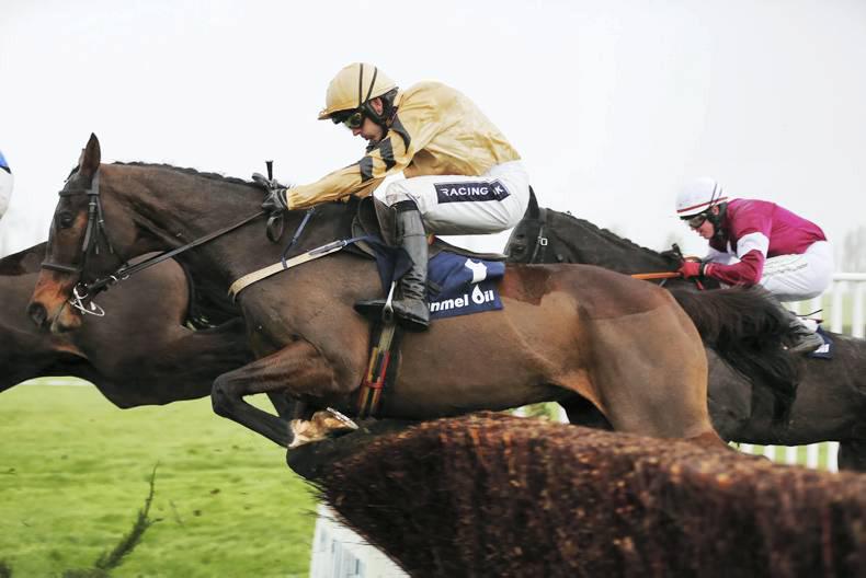 PEDIGREE NOTES: The weekend's National Hunt graded winners
