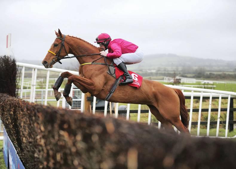 Bonny Kate bred to be a Grand mare