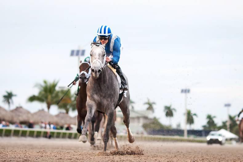 AMERICA: Mohaymen sails to top of Triple Crown list     