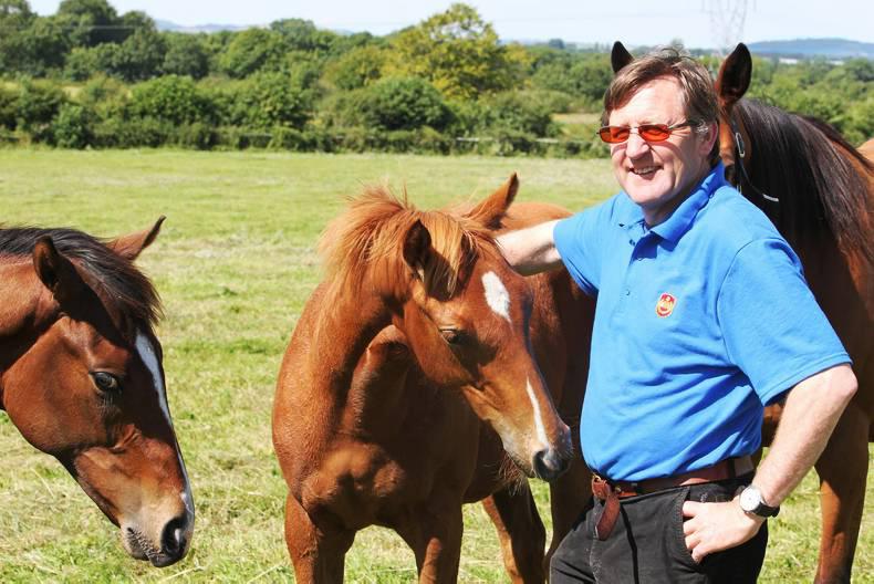 FOALING: Keep mares under constant surveillance