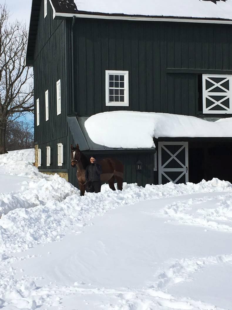 AMERICA: Blitzed by Storm Jonas
