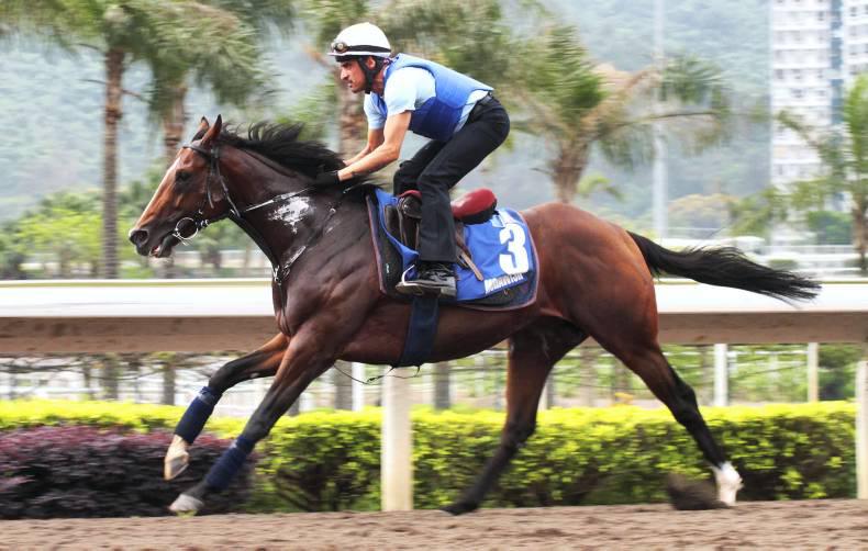 AMERICA: Mshawish aims for Dubai 