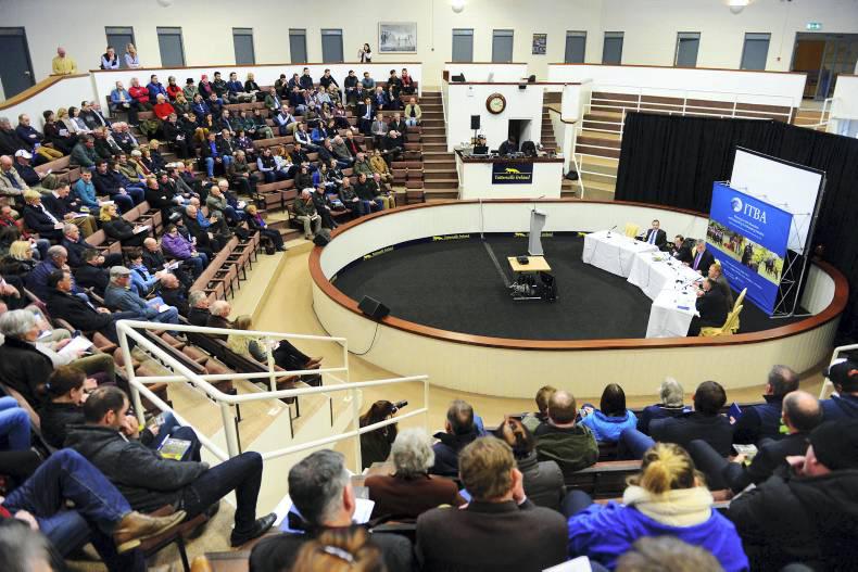 Letter to the Editor:  Challenges facing the National Hunt industry