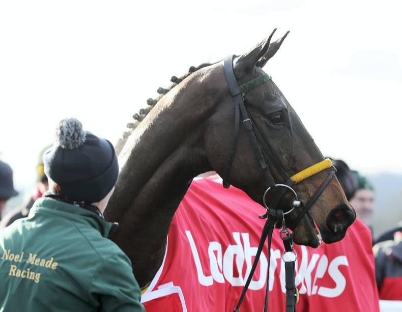 BREEDING INSIGHTS: Snow Falcon books his Cheltenham passage