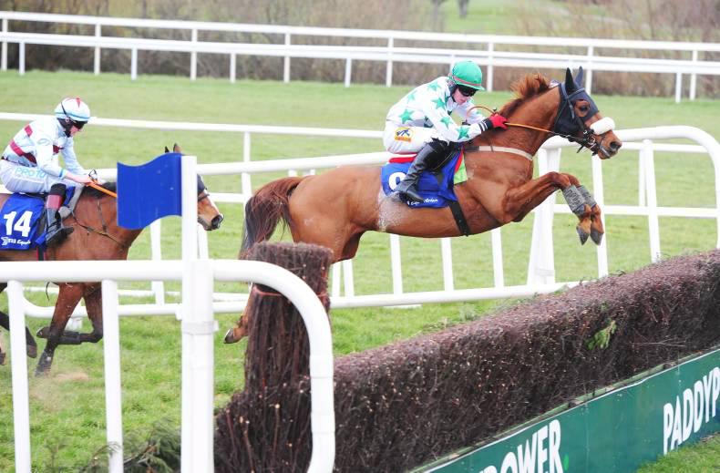 PEDIGREE ANALYSIS: Colms a Dream for Beneficial