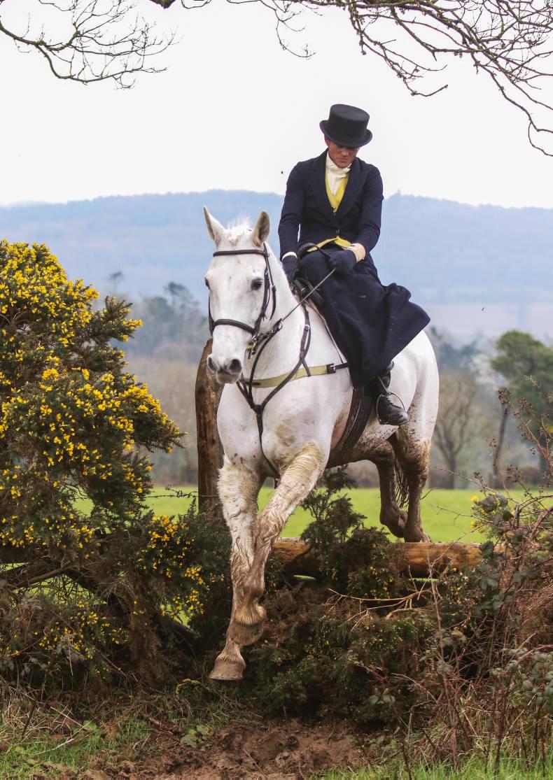 Smashing day of side saddle in Tipperary 