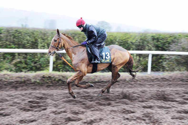 TALKING TRAINERS: WILLIE MULLINS         