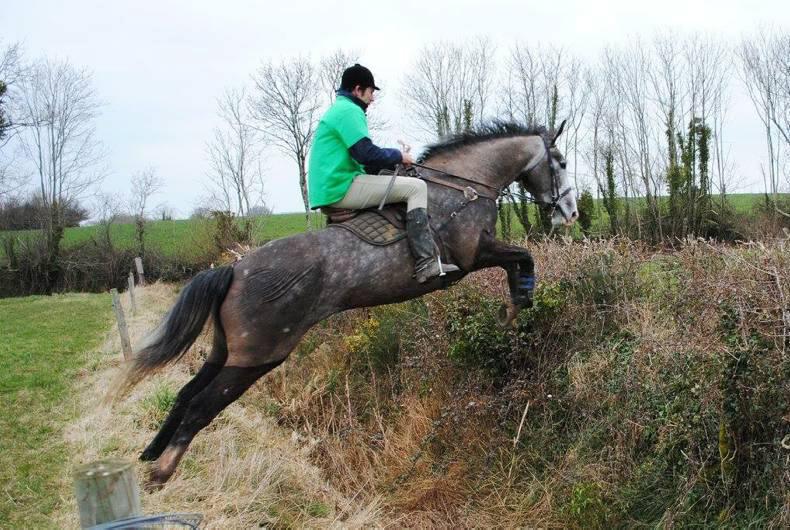 I'm a celebrity, get me over it!