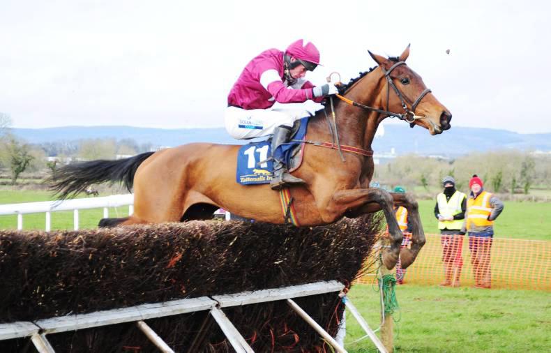 MARGIE MCLOONE: Good day for Total Recall et al at Naas