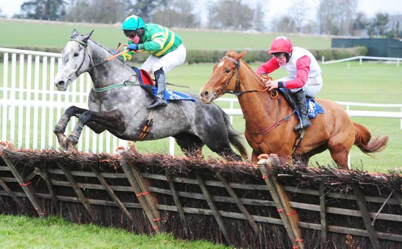 LIMERICK SATURDAY: The Grey Guy is to go one better