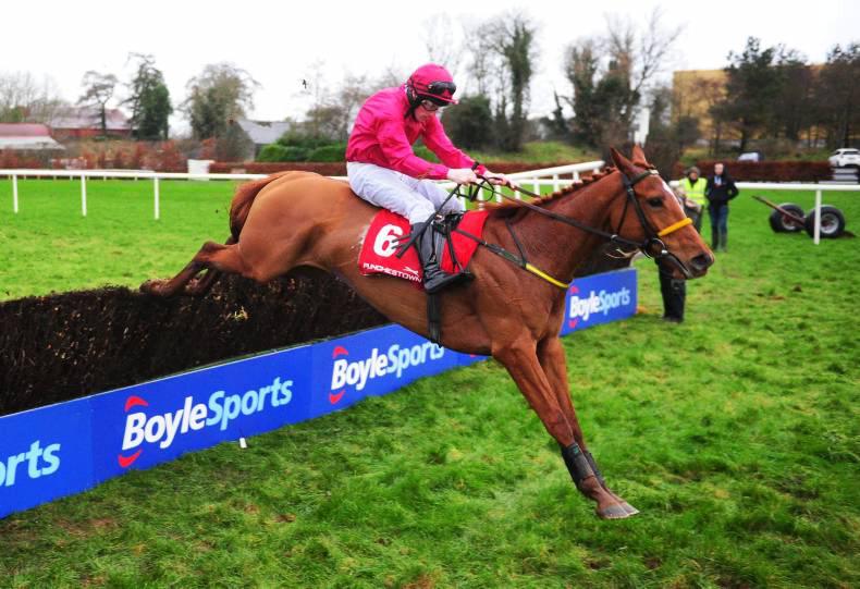 PEDIGREE NOTES: Irish and UK NH blacktype winners the weekend before Cheltenham