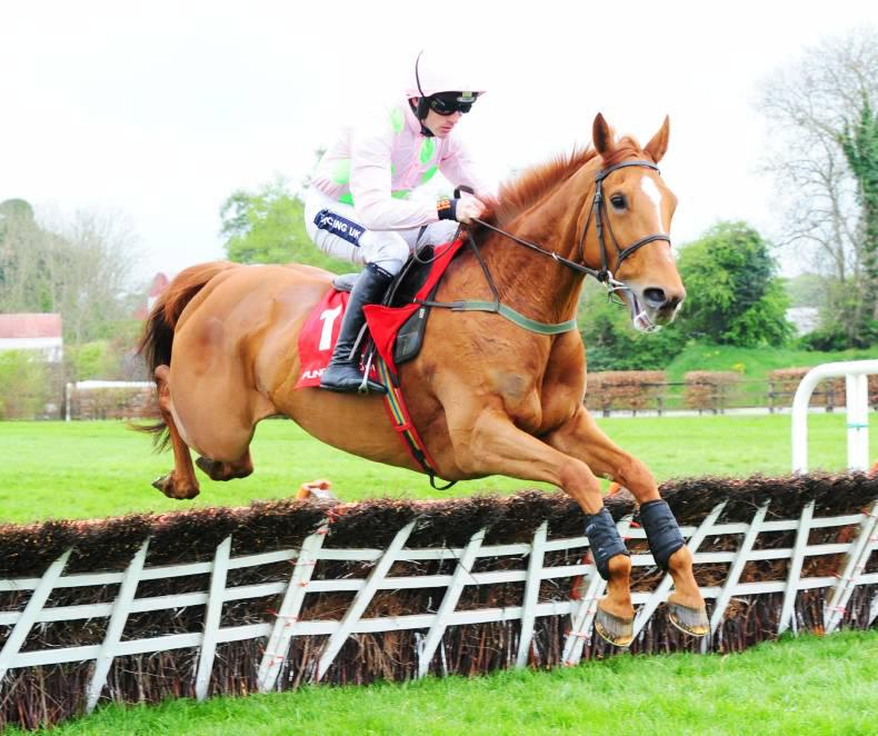 CHELTENHAM 2016: Brief pedigree notes on all the blacktype winners