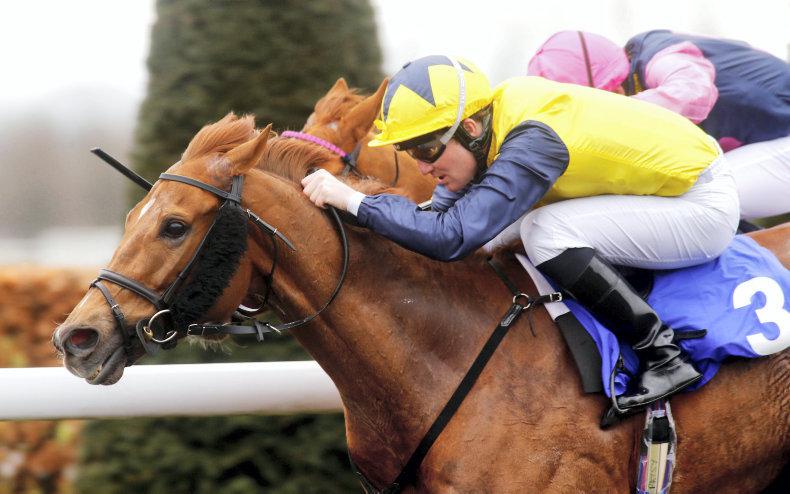 BRITAIN: Our Channel rewards favourite backers 