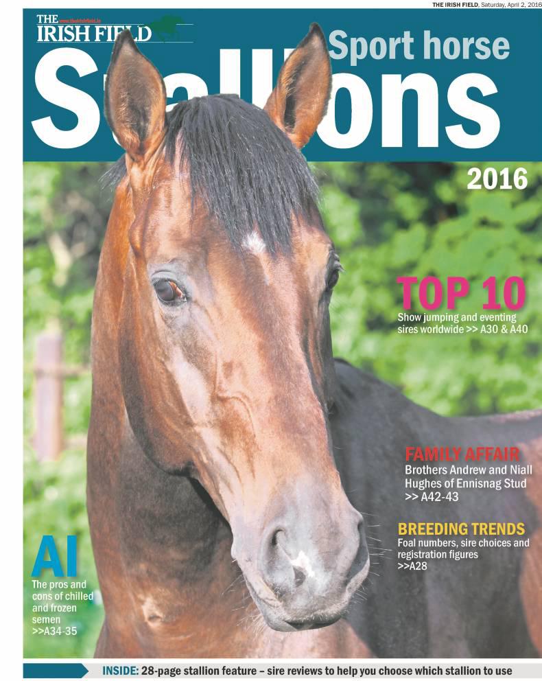 STALLIONS 2016: Don't miss your 28-page sport horse breeding supplement