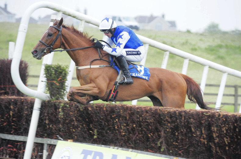 LIMERICK SUNDAY: Avant too strong for the rest 
