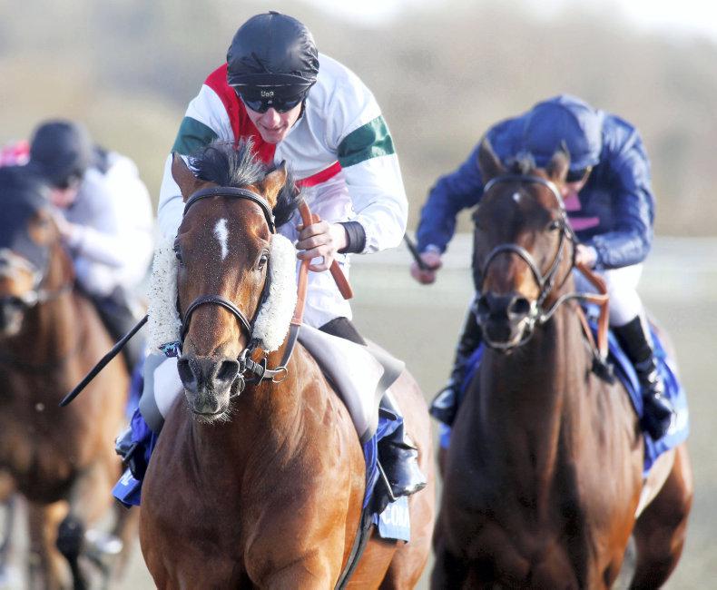 TIME WILL TELL: Superb Gendisar in quick style 