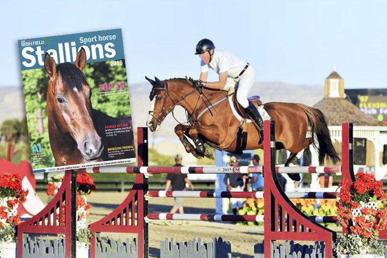 Inside The Irish Field this weekend 