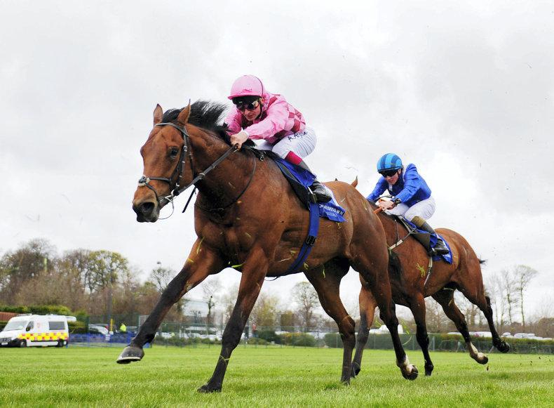 CURRAGH SUNDAY: Endless Drama promised at the Curragh 