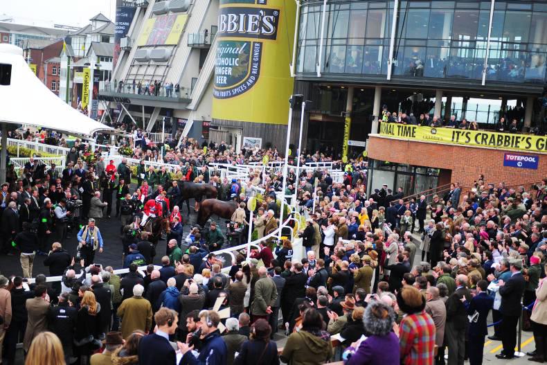 WATCH: Samcro sells for £335,000 at Goffs UK Aintree Sale
